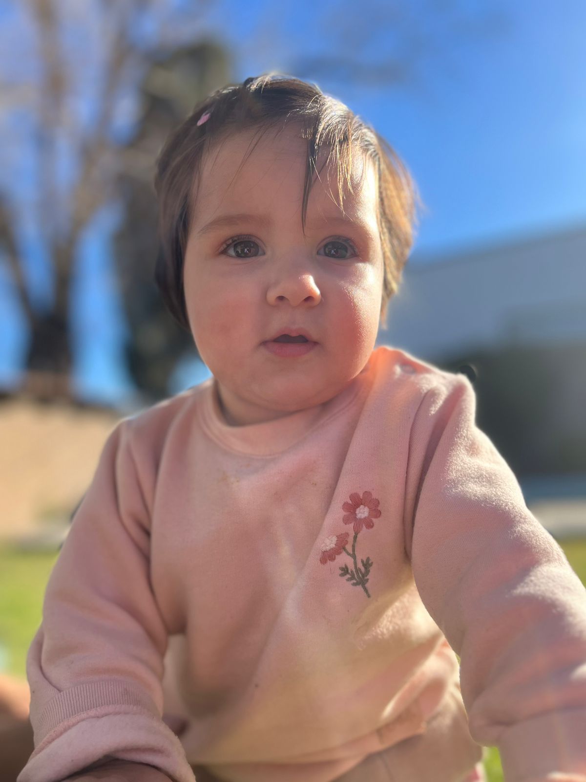 WhatsApp Image 2025-07-20 at 12.21.07.jpeg